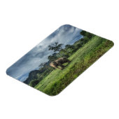 森林 カオソク国立公園 マグネット (左側)