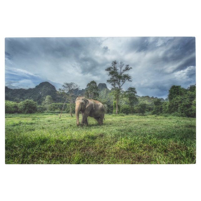 森林 カオソク国立公園 メタルプリント (正面)
