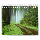 森林 カレンダー (カバー)