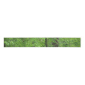 森林 グログランリボン (正面)