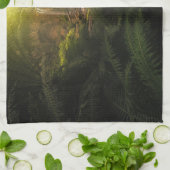 森林 |サンライトハイライト滝 キッチンタオル (折り畳み)