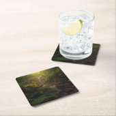 森林 |サンライトハイライト滝 スクエアペーパーコースター (インサイチュ)