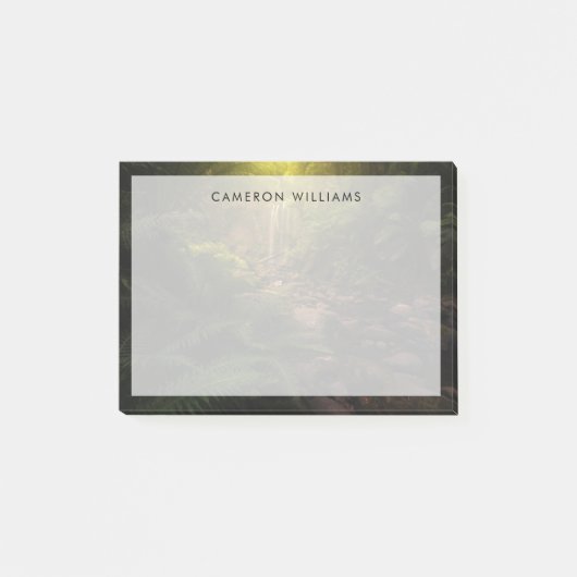 森林 |サンライトハイライト滝 ポストイット (正面)