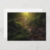 森林 |サンライトハイライト滝 ポストカード (正面/裏面)
