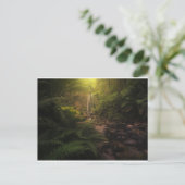森林 |サンライトハイライト滝 ポストカード (スタンド正面)