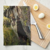 森林 |ドイツのオア山脈 キッチンタオル (四つ折り)