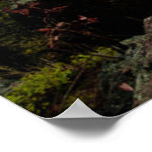 森林 |ドイツのオア山脈 ポスター (角)