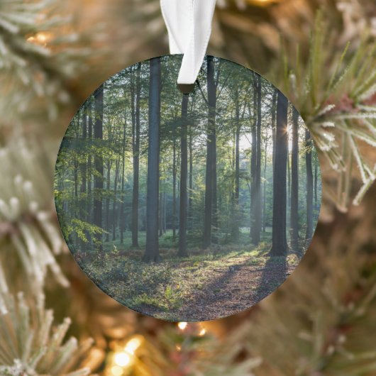 森林 |ブラックフォレストドイツ オーナメント (ツリー)