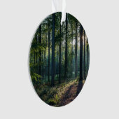 森林 |ブラックフォレストドイツ オーナメント (正面)