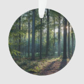 森林 |ブラックフォレストドイツ オーナメント (正面)