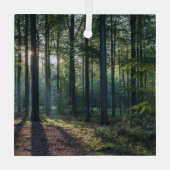 森林 |ブラックフォレストドイツ ガラスオーナメント (裏面)