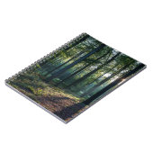 森林 |ブラックフォレストドイツ ノートブック (左側)