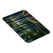 森林 |ブラックフォレストドイツ マグネット (右側)