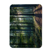 森林 |ブラックフォレストドイツ マグネット (縦)