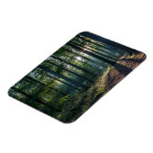 森林 |ブラックフォレストドイツ マグネット (左側)