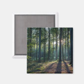 森林 |ブラックフォレストドイツ マグネット (正面/裏面)