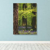 森林 |ベルギーのブルーベル キャンバスプリント (インサイチュ (ウッドフロア))