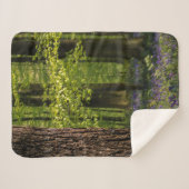 森林 |ベルギーのブルーベル シェルパブランケット (正面(横))