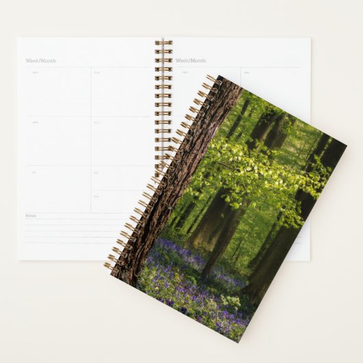 森林 |ベルギーのブルーベル プランナー手帳 (ディスプレー)