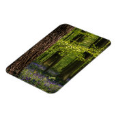 森林 |ベルギーのブルーベル マグネット (左側)