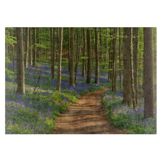 森林 |ベルギーのBluebell Forest カッティングボード (正面)