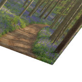 森林 |ベルギーのBluebell Forest カッティングボード (角)