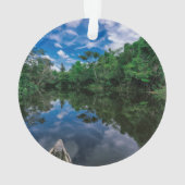 森林 |ペルーのジャングル林 オーナメント (裏面)