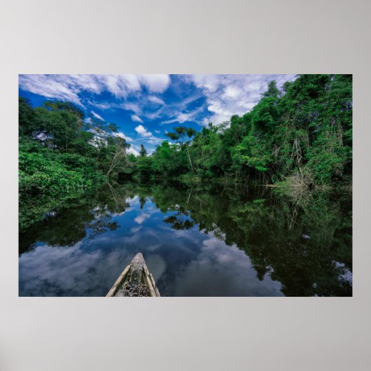 森林 |ペルーのジャングル林 ポスター (正面)