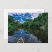 森林 |ペルーのジャングル林 ポストカード (正面/裏面)