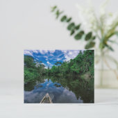 森林 |ペルーのジャングル林 ポストカード (スタンド正面)