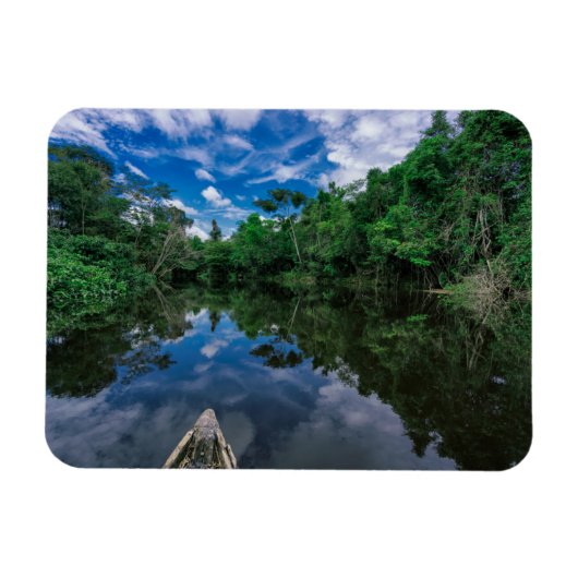 森林 |ペルーのジャングル林 マグネット (横)