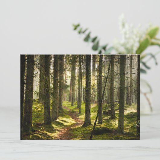 森林 |ボレアルフォレストスウェーデン サンキューカード (スタンド正面)