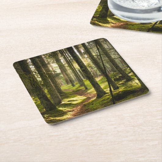 森林 |ボレアルフォレストスウェーデン スクエアペーパーコースター (アングル)