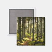 森林 |ボレアルフォレストスウェーデン マグネット (正面/裏面)