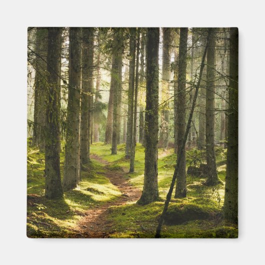 森林 |ボレアルフォレストスウェーデン マグネット (正面)