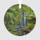 森林 |ボーシャン滝オーストラリア オーナメント (裏面)