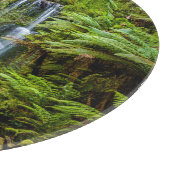 森林 |ボーシャン滝オーストラリア カッティングボード (角)