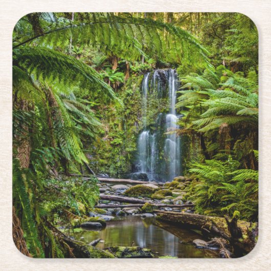 森林 |ボーシャン滝オーストラリア スクエアペーパーコースター (正面)