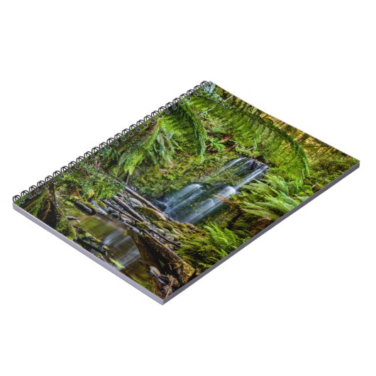 森林 |ボーシャン滝オーストラリア ノートブック (左側)