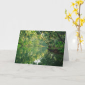 森林 |マングローブ林 カード (黄色い花)
