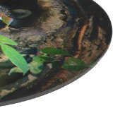 森林 |ラクーンのぞき取り カッティングボード (角)