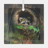 森林 |ラクーンのぞき取り ガラスオーナメント (正面)