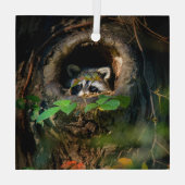 森林 |ラクーンのぞき取り ガラスオーナメント (裏面)