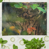 森林 |ラクーンのぞき取り キッチンタオル (折り畳み)