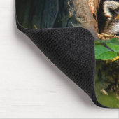 森林 |ラクーンのぞき取り マウスパッド (コーナー)