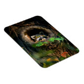 森林 |ラクーンのぞき取り マグネット (右側)