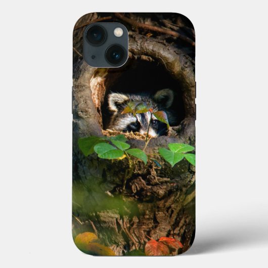 森林 |ラクーンのぞき取り Case-Mate iPhoneケース (裏面)