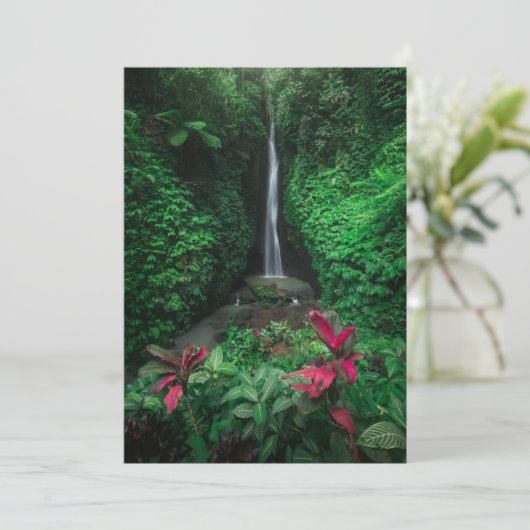 森林 |レクレクバリの滝 サンキューカード (スタンド正面)