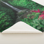 森林 |レクレクバリの滝 シェルパブランケット (3/4)