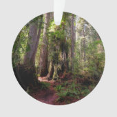 森林 |レッドウッド・フォレスト・カリフォルニア オーナメント (正面)